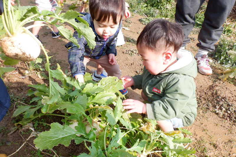 こばと小規模保育園 園の生活の様子