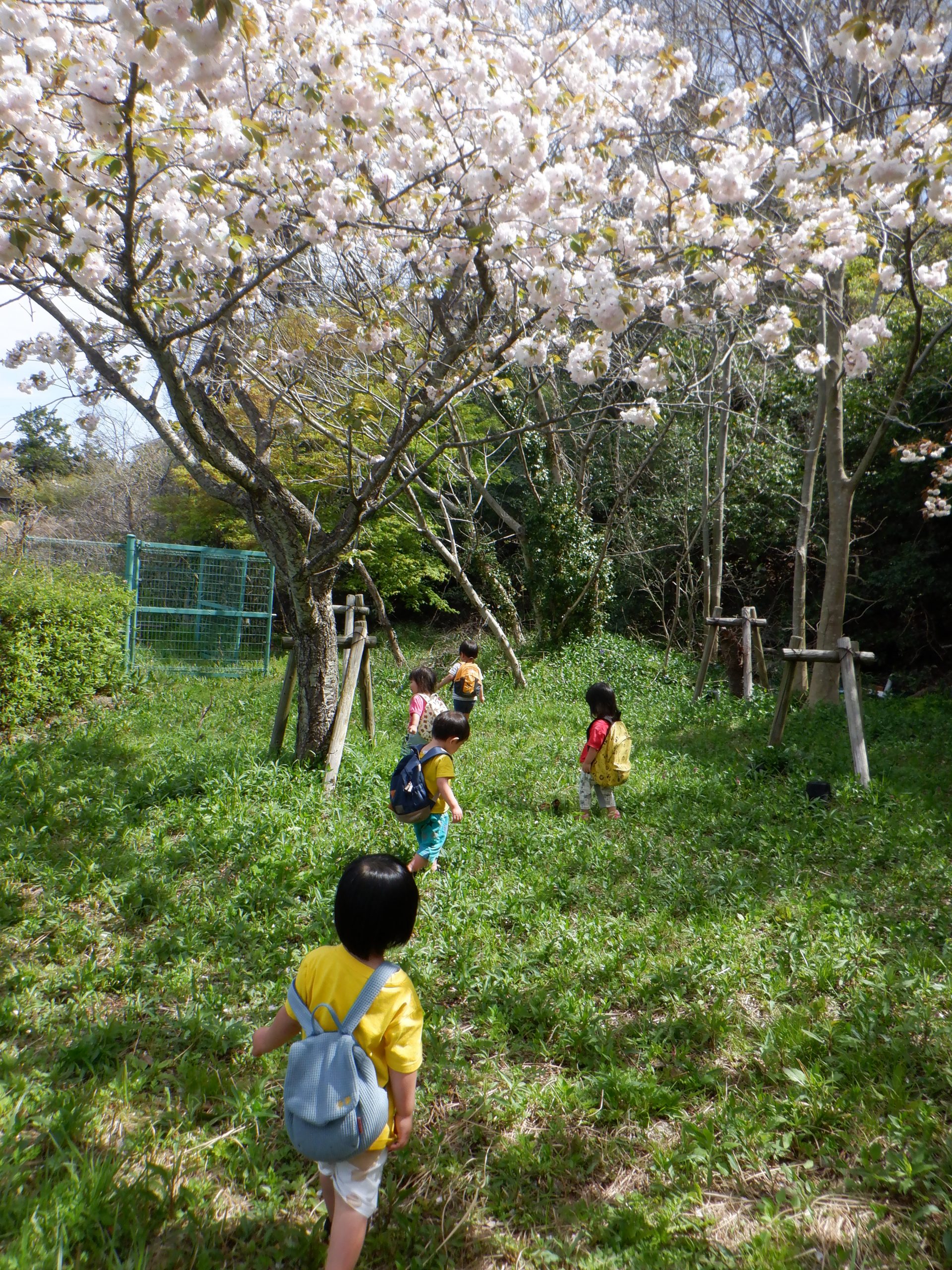 こばと小規模保育園 ちいぽっぽ